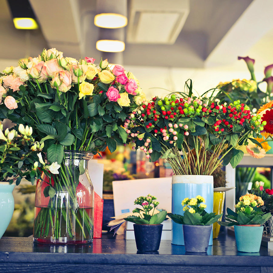 Flowers are the music of the ground. From earth’s lips, they speak.