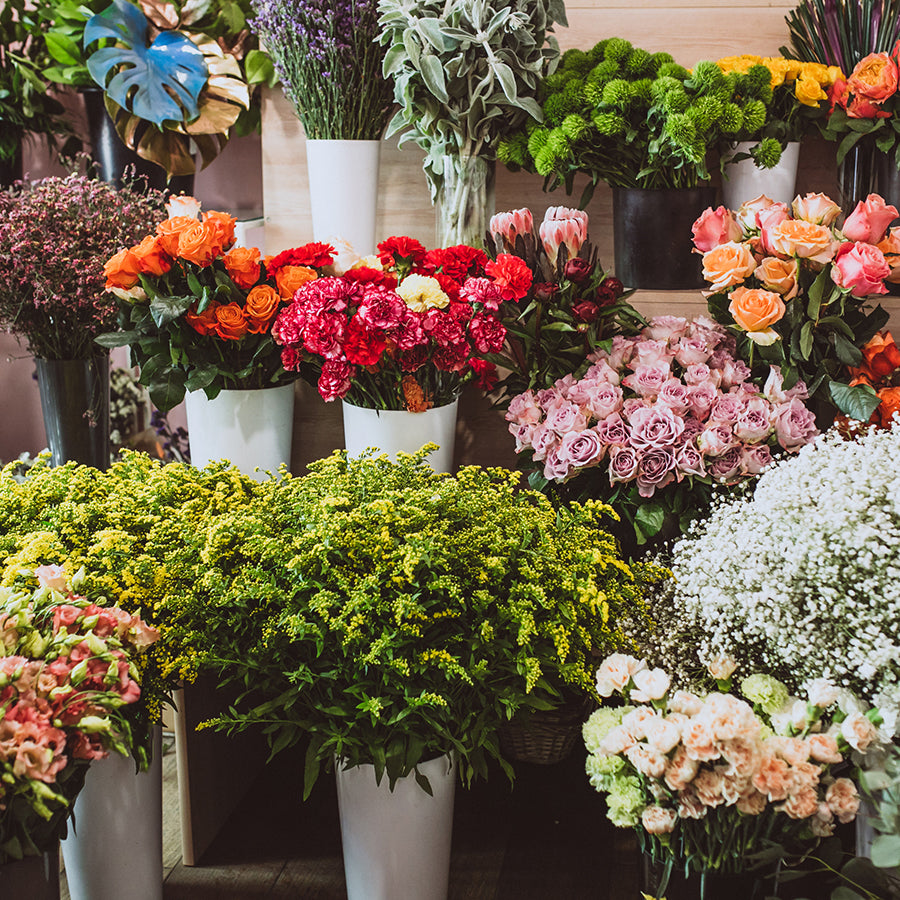 Flowers are the music of the ground. From earth’s lips, they speak.