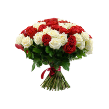 Matricaria Garden Roses