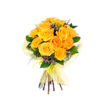 Matricaria Garden Roses