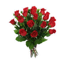 Matricaria Garden Roses